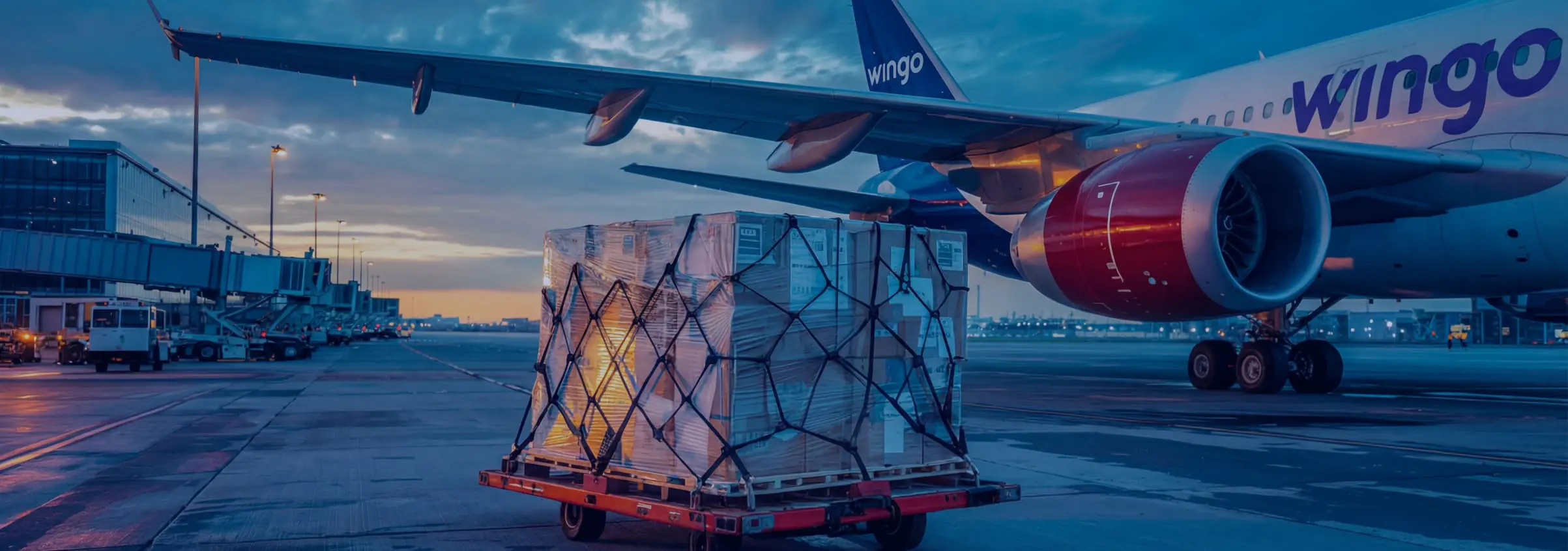 Авіадоставка