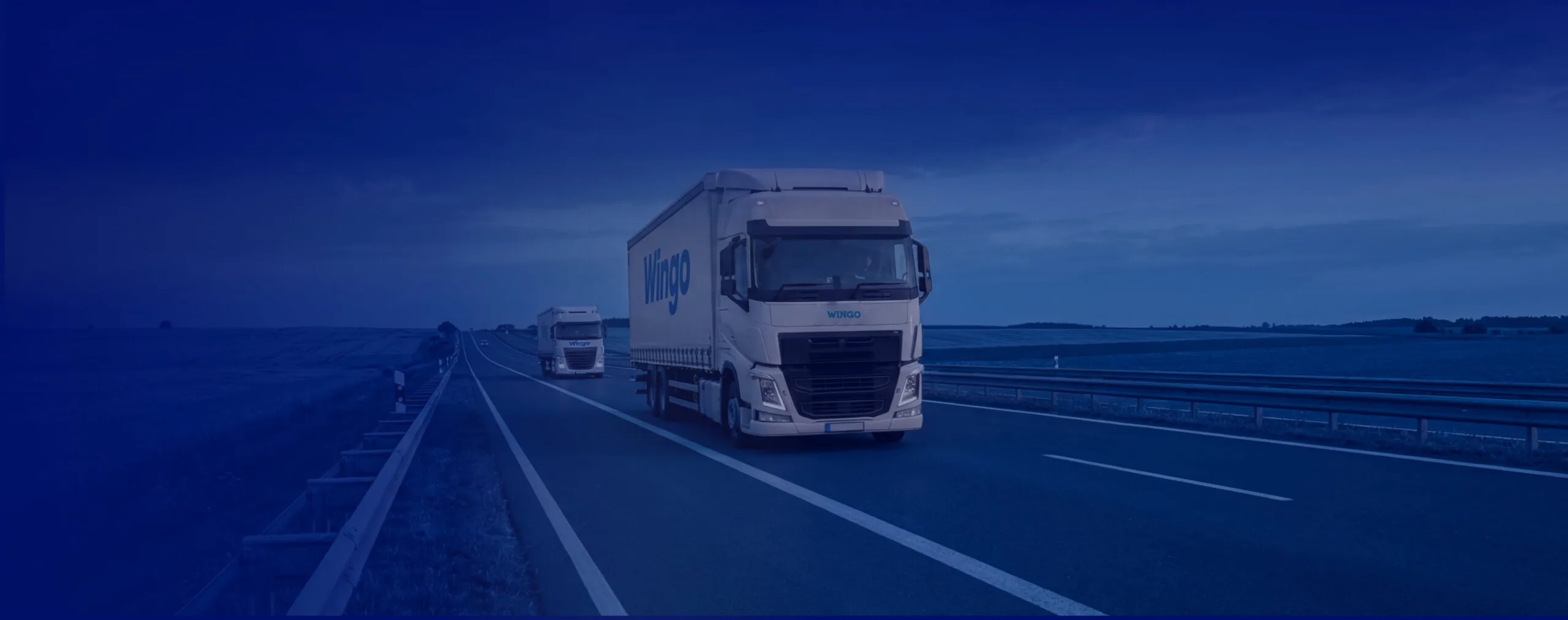 Вантажний автомобіль Wingo