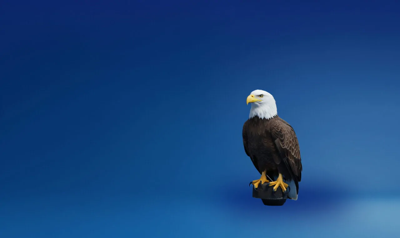 Білий орлан США