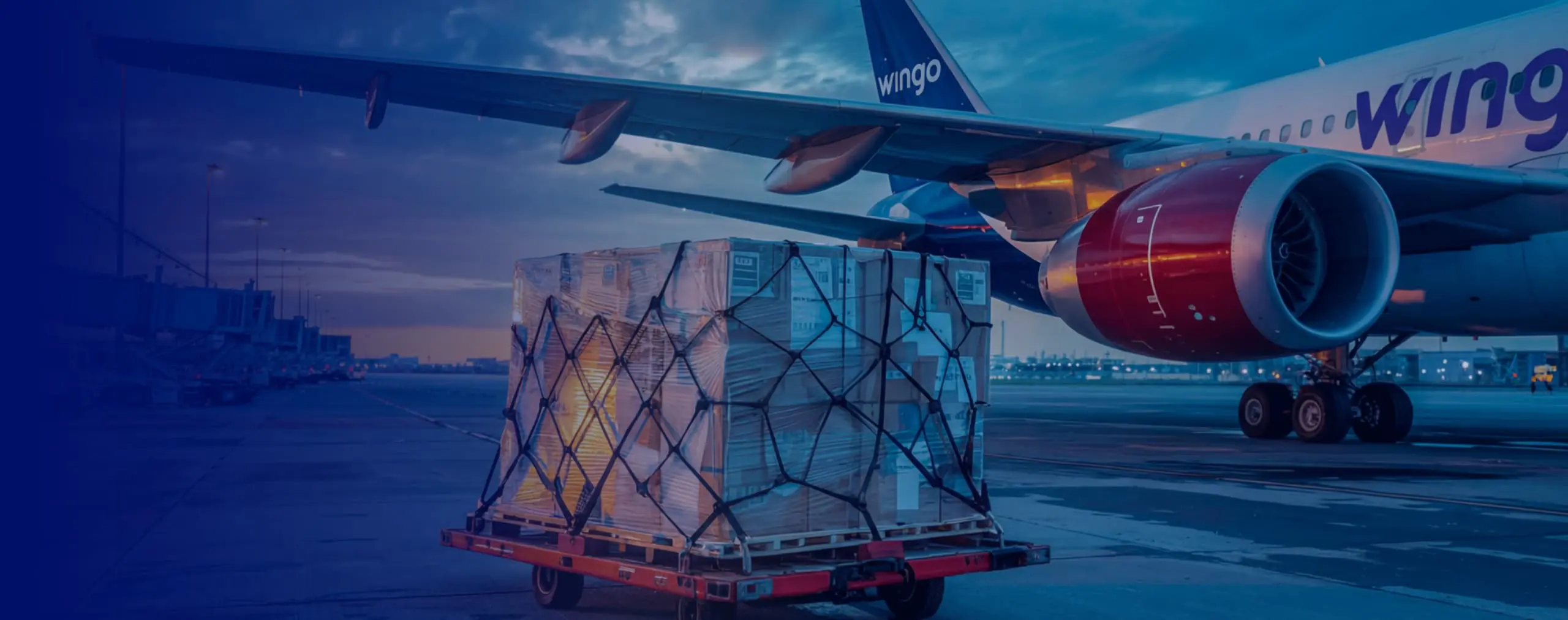 Авіадоставка